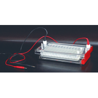 High Throughput Horizontal Electrophoresis (96 samples)