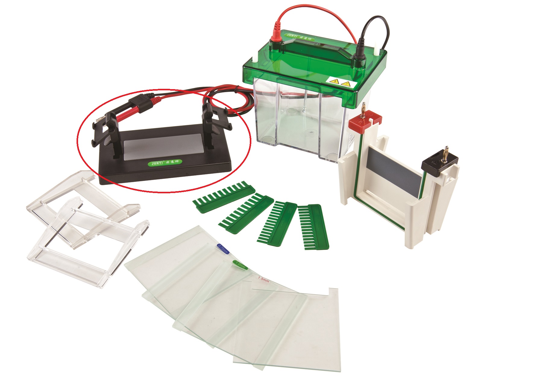 Vertical Electrophoresis Tank (2 gels)